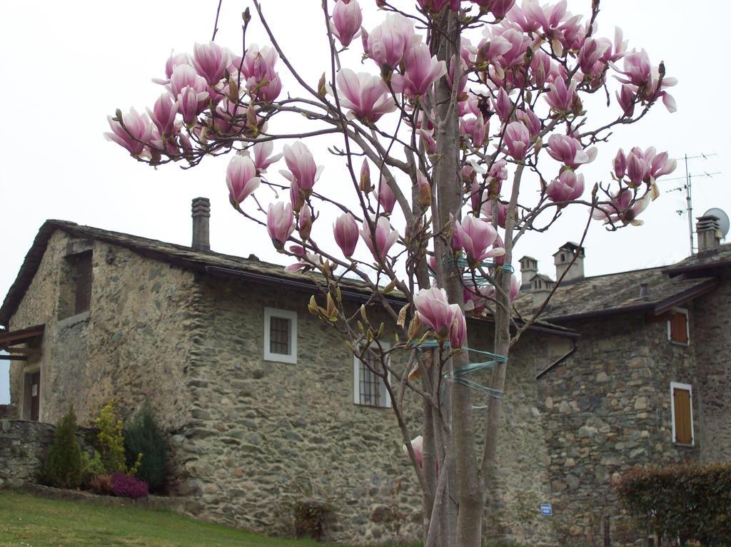 Vila Casa San Martino Teglio Exteriér fotografie